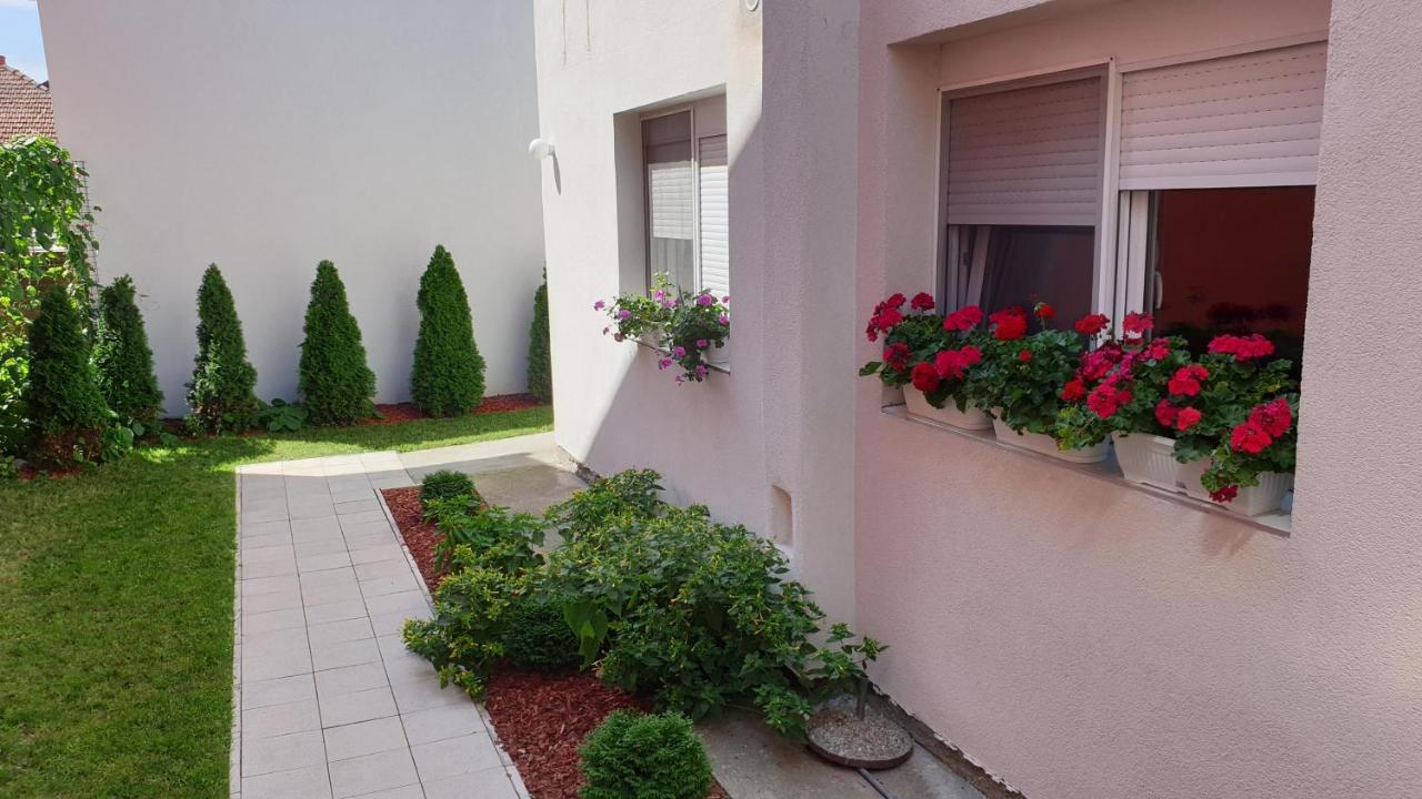 Lovely Private Flats Free Parking Novi Sad Extérieur photo